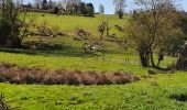 Trail On foot Anthisnes - Autour de Hestreux et Limont - Photo 3