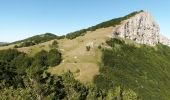 Percorso Marcia Léoncel - Pierre Chauve - Col de Tourniol - Photo 11