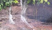 Excursión Senderismo Petit-Bourg - Guadeloupe - Saut de la Lézarde - Photo 4