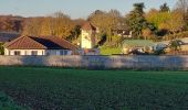 Percorso Bici da strada Paron - 186 NE70 La Garenne # Thorigny sur Oreuse-01 - Photo 1