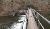 Tour Wandern La Roche-en-Ardenne - rando warempage 10/12/2020 - Photo 17