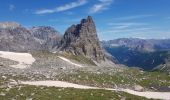 Tocht Stappen Névache - laval le mont matador nevache - Photo 8