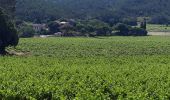 Randonnée Marche Carcès - La vallée de l'Argens-03-0621 - Photo 3