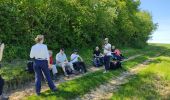 Tocht Stappen Étampes - base de loisirs d'Etampes - Photo 8