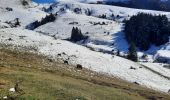 Trail Walking Gouaux-de-Luchon - cabane de Salode en boucle depuis Gouaux de Luchon - Photo 4