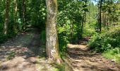 Trail Walking Bièvre - Bellefontaine 250521 - Photo 2
