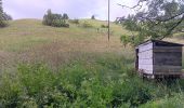 Randonnée Marche Septmoncel les Molunes - mo sentier des lapidaires - Photo 20