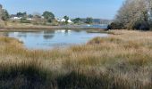 Trail Walking Belz - PR_56_Belz_DA_04_Pointe-De-Kerrio_Circuit4a_20250102 - Photo 7