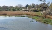 Trail Walking Saint-Coulomb - GR_34_AE_05_St-Coulomb_St-Malo_20230409 - Photo 3