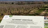 Percorso Marcia Sorgues - Balade dans les vignes de Châteauneuf-du-Pape - Photo 3