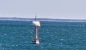 Tocht Te voet Noirmoutier-en-l'Île - Jeun et rando J3 Centre ville plage des dames - Photo 6