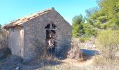 Tocht Stappen Leucate - plateau leucate - sud est  - Photo 20