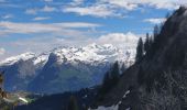 Excursión Senderismo Arâches-la-Frasse - les Carroz, tête de Saix boucle - Photo 7