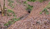 Trail Walking Wanze - Antheit 070125 - Photo 12
