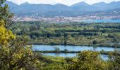 Trail Walking Roquebrune-sur-Argens - REV Château Vaudois les petites Maures - Photo 4