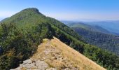 Tour Wandern San Marcello Piteglio - Rifugio Casetta Pulledrari - Monte Gennaio - version facile - Photo 2