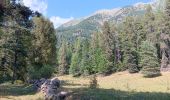 Tour Wandern Puy-Saint-Eusèbe - canal de reyssas jusqu'aux Touisses / retour par le GR Serre-Ponçon via ravin de la pisse  - Photo 3