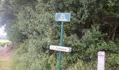 Trail Walking La Vieille-Lyre - 20220608-Champignoles - Photo 8