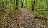 Trail Walking Vendôme - Petit parcours dans la partie Sud-est du Bois de l'Oratoire - Photo 20