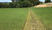 Randonnée Marche Nivelles - Balade en boucle départ Monstreux - Photo 2