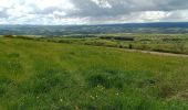 Trail Walking Le Bouchet-Saint-Nicolas - Stenvenson Le Bouchet St Nicolas - Pradelles - Photo 1