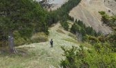 Percorso Marcia Bayons - chemin du lac des Monges au sommet - Photo 7