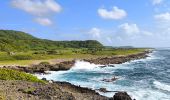 Tocht Stappen Capesterre-de-Marie-Galante - Guadeloupe - Marie Galante - Les Galeries - Photo 7