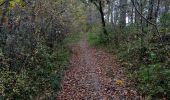 Trail Walking Paulhiac - Paulhiac 18,5km - Photo 3