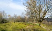 Tour Zu Fuß Horn-Bad Meinberg - Rundwanderweg A2 [Holzhausen-Externsteine] - Photo 6