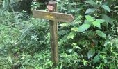 Trail Walking Sainte-Rose - Choisy sofaia choisy - Photo 2