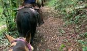 Trail Horseback riding Charency-Vezin - 2ème jour chez Juliette  - Photo 1