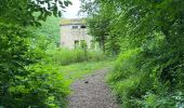 Tocht Noords wandelen Habscht - Grande boucle Clairfontaine - Photo 6