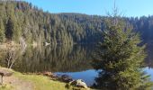 Trail Walking Soultzeren - lac vert Haut Rhin - Photo 1