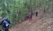 Tocht Stappen Chantepérier - boucle départ le perier - Photo 4