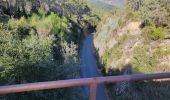 Trail Walking Seillans - 