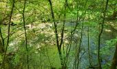 Tocht Stappen Aarlen - Arlon Mesa 250624 - Photo 4