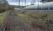 Tour Zu Fuß Lauffen am Neckar - Panoramaweg Hölderlin und Wein (RWW1) - Photo 2