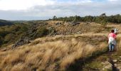 Tour Wandern Rochefort-en-Terre - Pluherlin, Les Grées - Photo 2