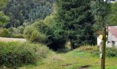 Tour Wandern La Bourboule - La Bourboule - Roche de Vendée- Rocher de l Aigle - Photo 16