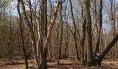 Randonnée Marche Darnétal - Darnétal au bois du Roule 3,3km - Photo 1