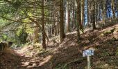 Tocht Mountainbike La Salvetat-sur-Agout - 240829_vtt_2 - Photo 1