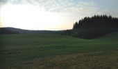 Tour Mountainbike Le Frasnois - Jura - Boucle des 5 lacs  - Photo 8