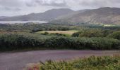 Trail Walking West Cork - Glengarriff - Ardrigole - Photo 19