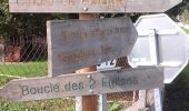 Tour Zu Fuß Bassanne - Le Moulin de Piis : boucle locale - Photo 5