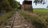 Tocht Stappen Castelvetrano - l'espace protégé de Selnonte - Photo 2