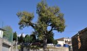 Randonnée A pied Vidrà - Vidrà-Puig de les Àligues - Photo 10