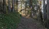Trail Walking Saint-Pierre-de-Chartreuse - Boucle autour de saint Hugues - Photo 2
