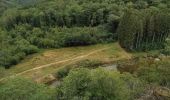 Trail Walking Bouillon - Poupehan_Rochehaut_Frahan_Poupzhan - Photo 11