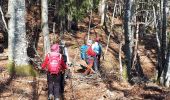 Tocht Stappen Miribel-Lanchâtre - Les crêtes de la Ferrière en circuit - Photo 12