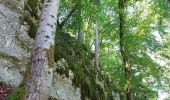 Randonnée Marche Hauts de Bienne - sentier de la Bienne - Photo 10